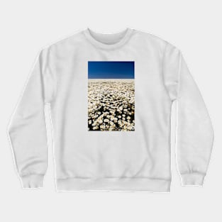Daisy Flower Field Crewneck Sweatshirt